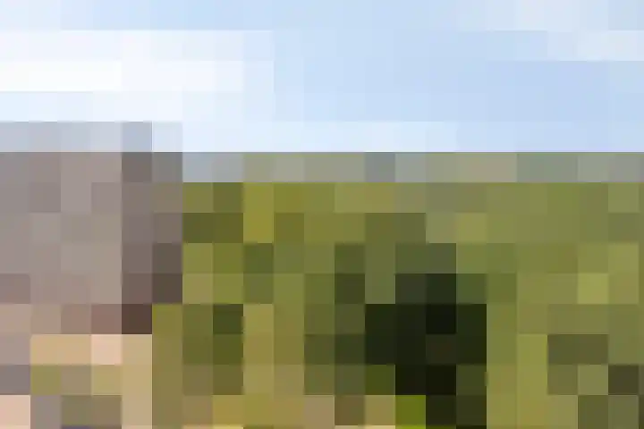 Zernikelaan 558 Papendrecht thumbnail 14