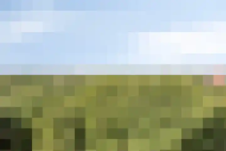 Zernikelaan 558 Papendrecht thumbnail 15