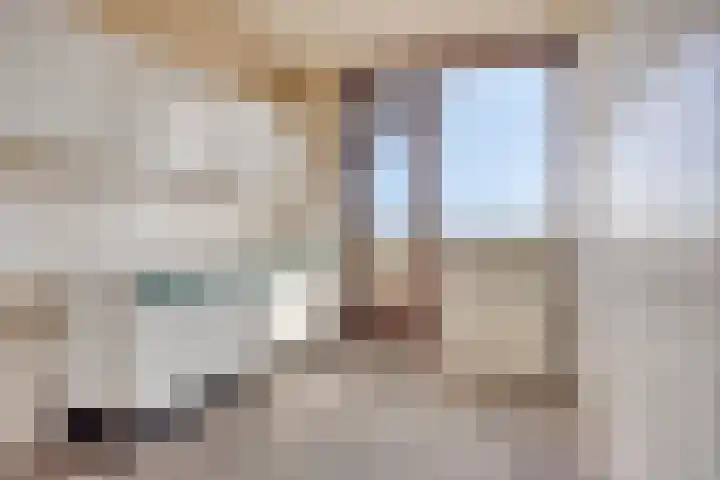 Zernikelaan 558 Papendrecht thumbnail 16