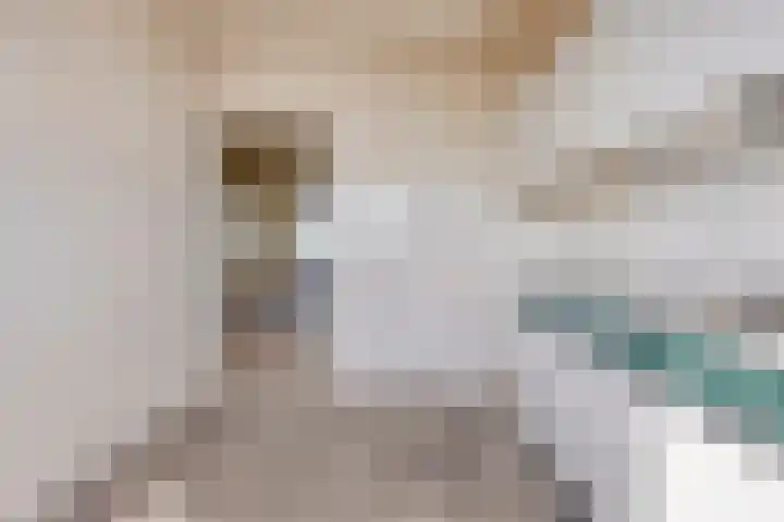 Zernikelaan 558 Papendrecht thumbnail 17