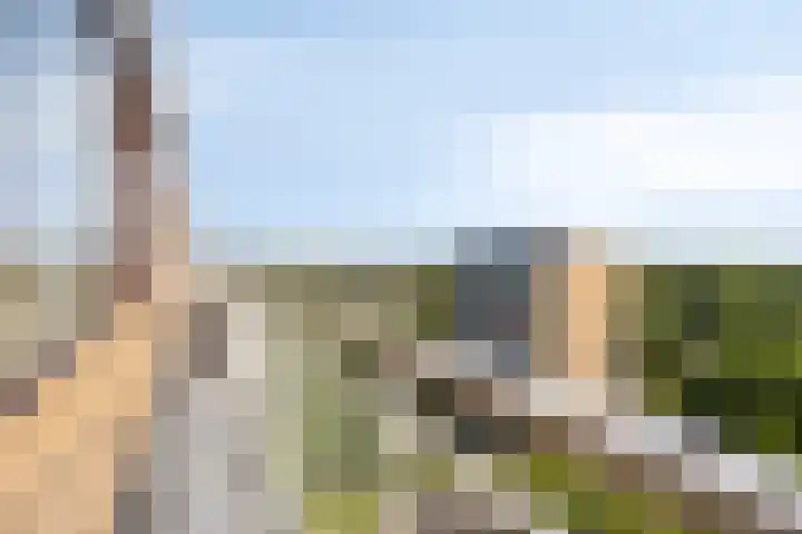 Zernikelaan 558 Papendrecht thumbnail 18