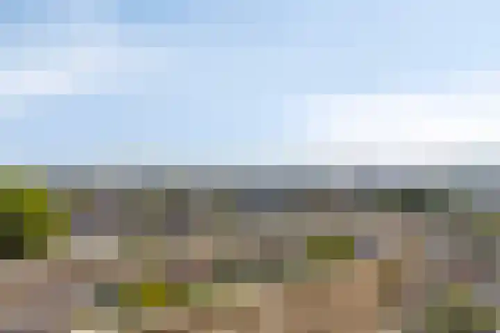 Zernikelaan 558 Papendrecht thumbnail 19
