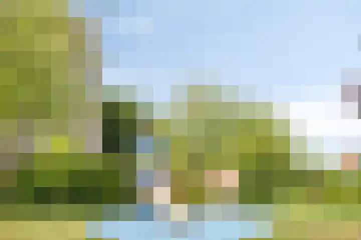 Zernikelaan 558 Papendrecht thumbnail 27