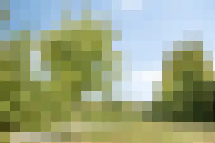 Zernikelaan 558 Papendrecht thumbnail 29