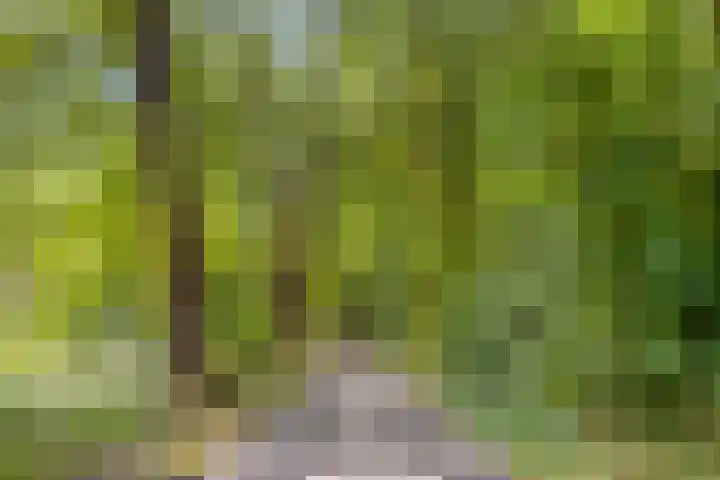 Zernikelaan 558 Papendrecht thumbnail 30