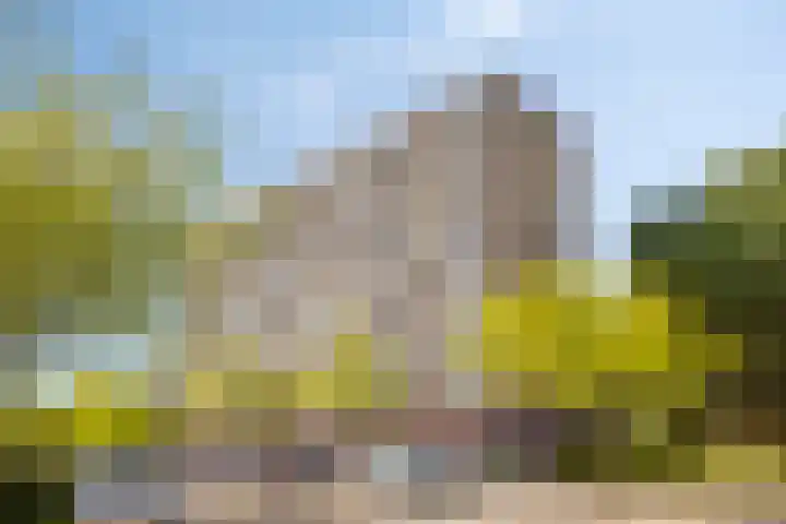 Zernikelaan 558 Papendrecht thumbnail 4
