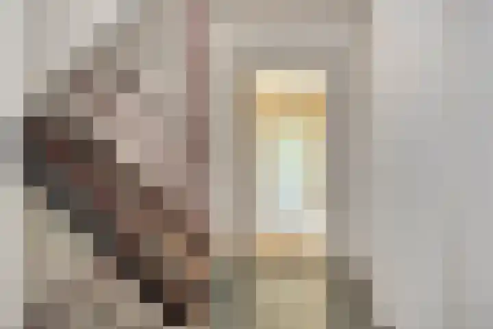Zernikelaan 558 Papendrecht thumbnail 5