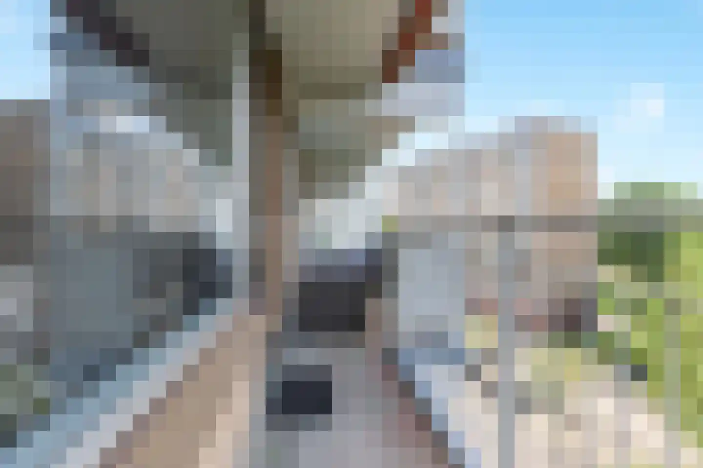 Zernikelaan 584 Papendrecht thumbnail 13