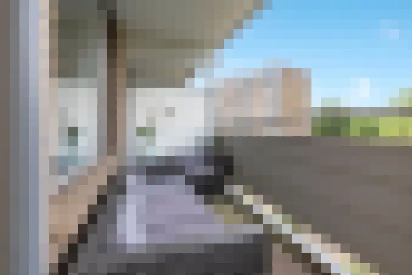 Zernikelaan 584 Papendrecht thumbnail 14