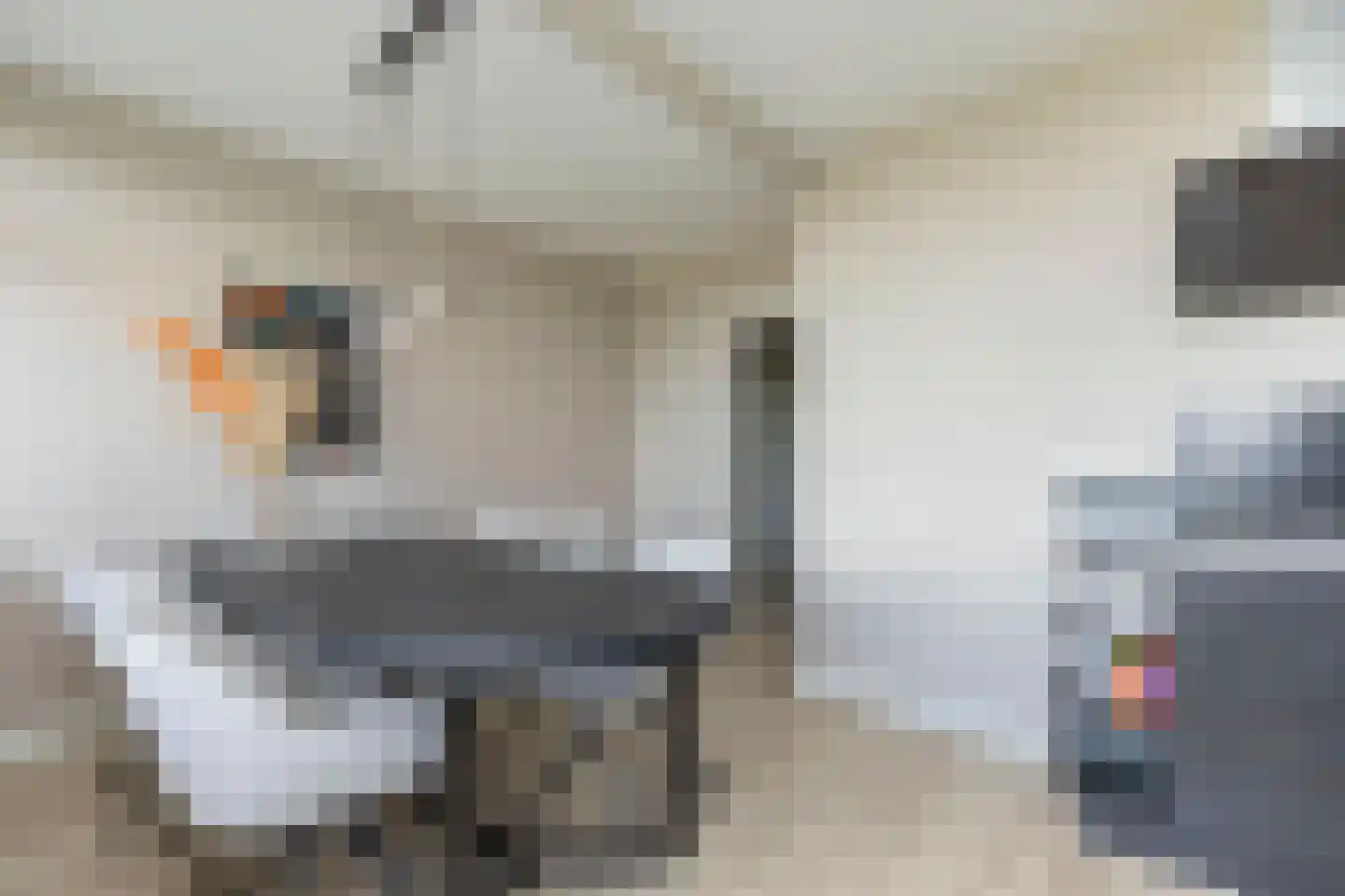 Zernikelaan 584 Papendrecht thumbnail 27
