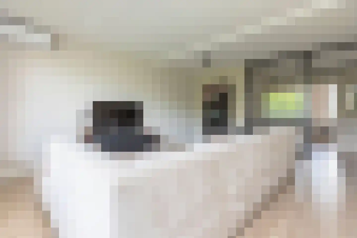 Zernikelaan 584 Papendrecht thumbnail 8