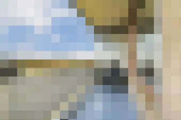 Zernikelaan 664 Papendrecht thumbnail 11
