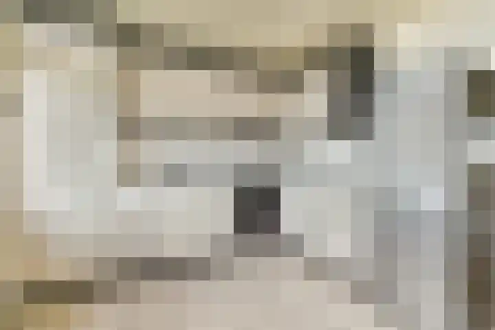 Zernikelaan 664 Papendrecht thumbnail 13