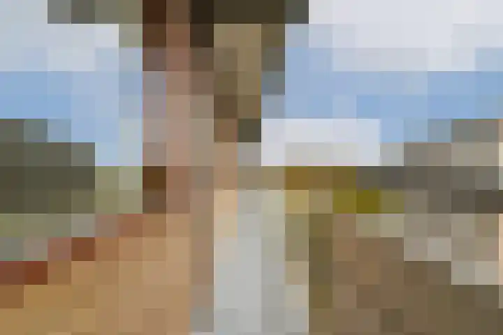 Zernikelaan 664 Papendrecht thumbnail 15