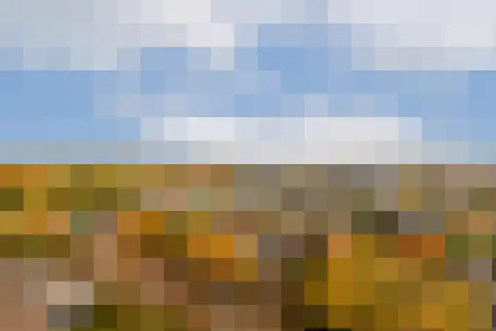 Zernikelaan 664 Papendrecht thumbnail 16