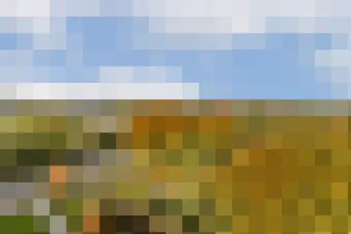 Zernikelaan 664 Papendrecht thumbnail 17