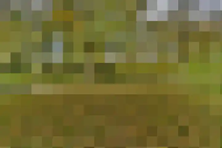 Zernikelaan 664 Papendrecht thumbnail 21