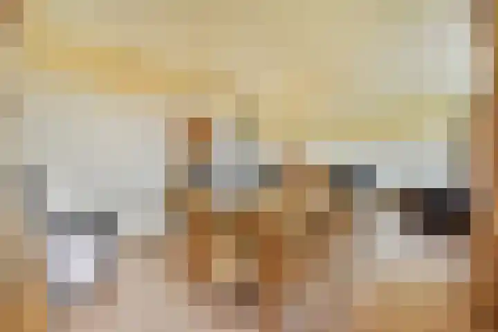 Zernikelaan 664 Papendrecht thumbnail 9