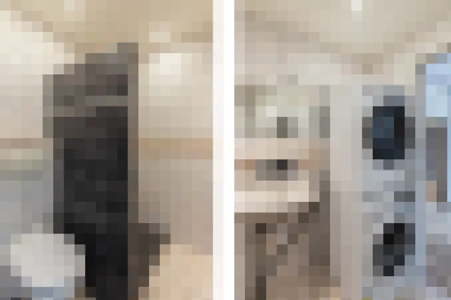 Zernikelaan 682 Papendrecht thumbnail 17
