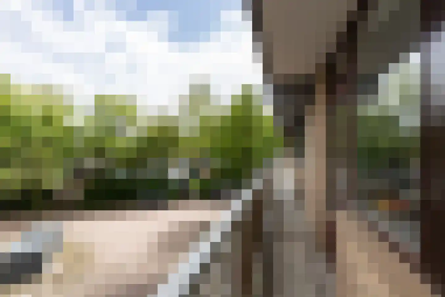 Zernikelaan 682 Papendrecht thumbnail 20