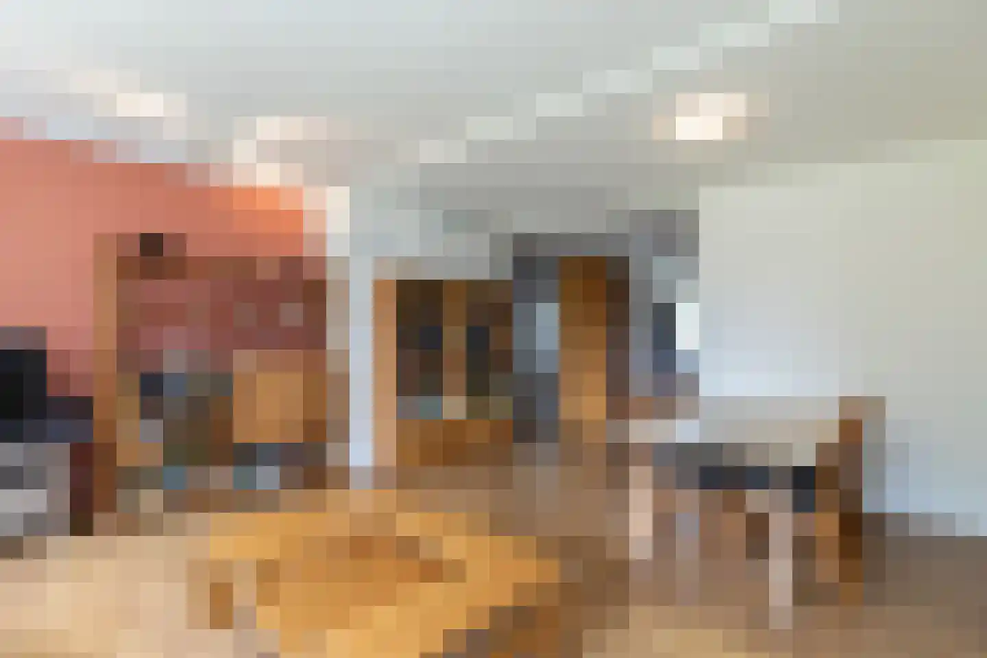 Zernikelaan 682 Papendrecht thumbnail 9