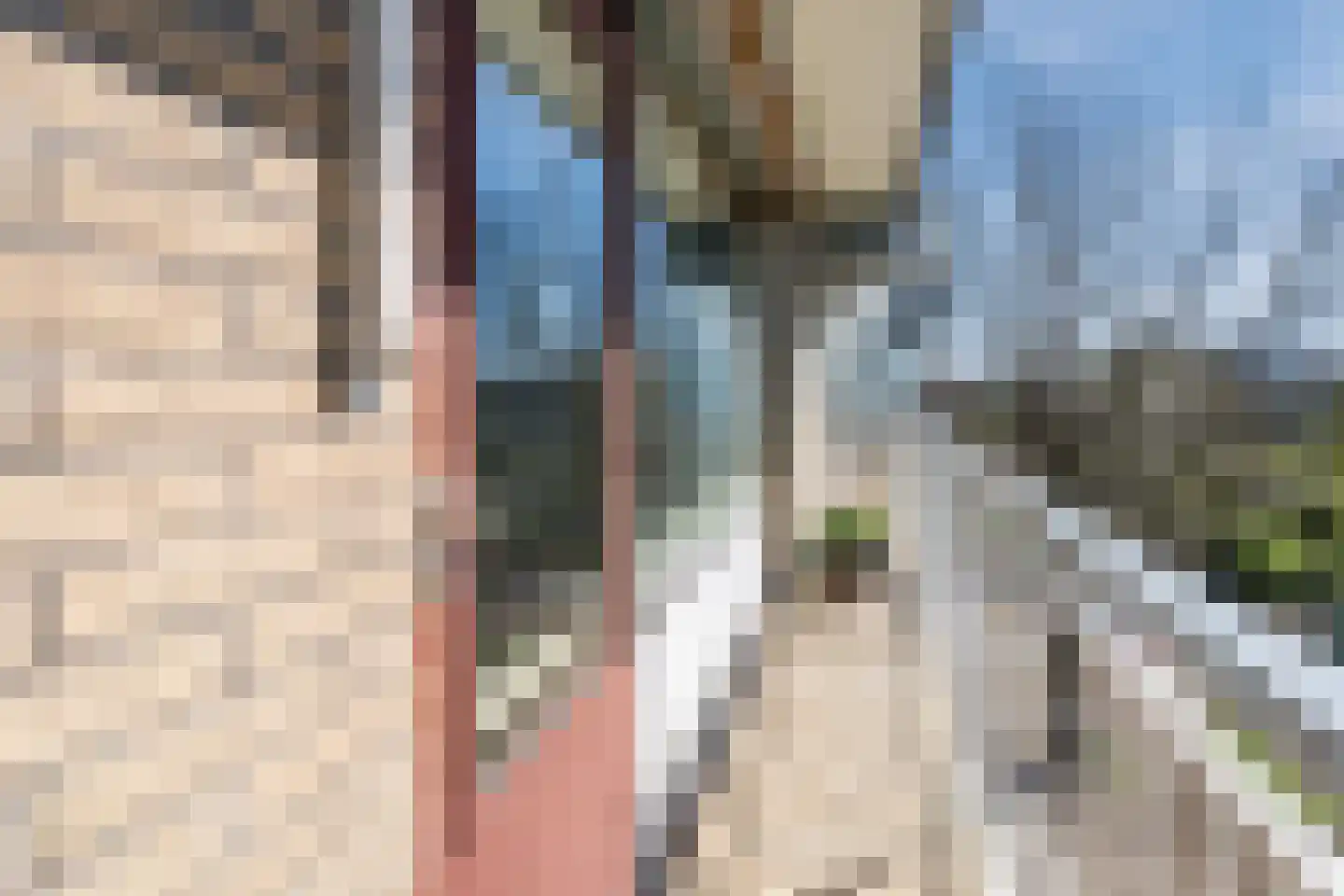 Zernikelaan 694 Papendrecht thumbnail 29
