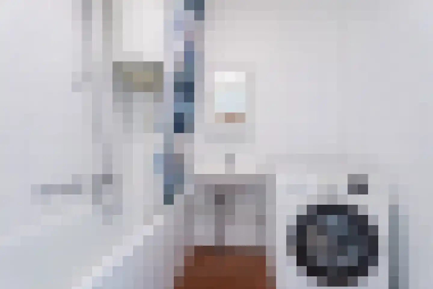 Zernikelaan 694 Papendrecht thumbnail 32