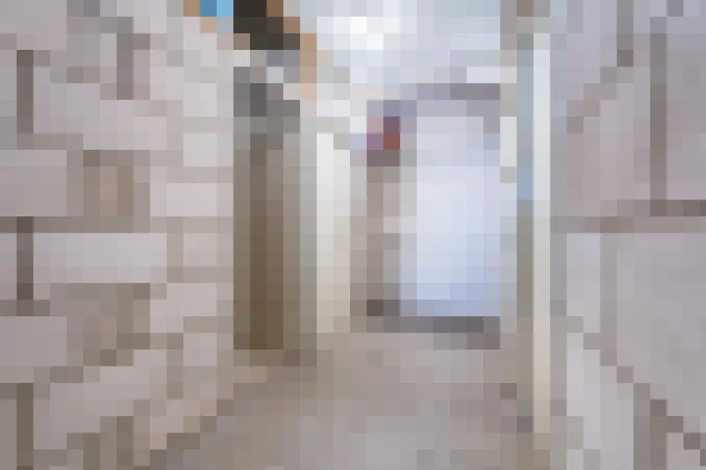 Zernikelaan 694 Papendrecht thumbnail 35