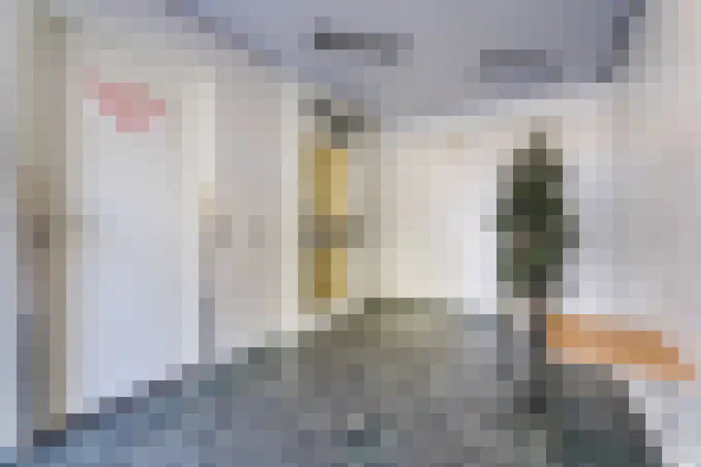 Zernikelaan 694 Papendrecht thumbnail 41