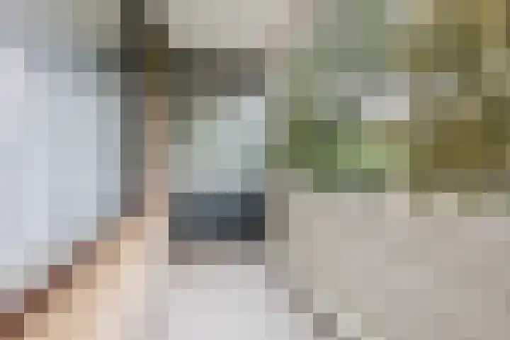 Zernikelaan 726 Papendrecht thumbnail 23