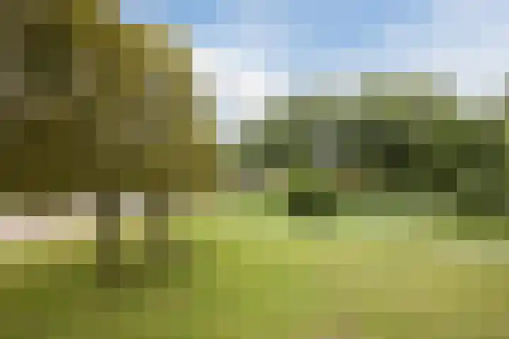 Zernikelaan 726 Papendrecht thumbnail 24