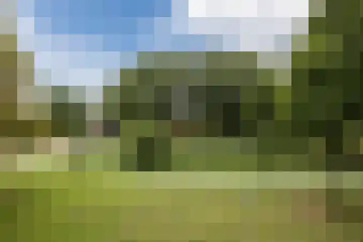 Zernikelaan 726 Papendrecht thumbnail 25