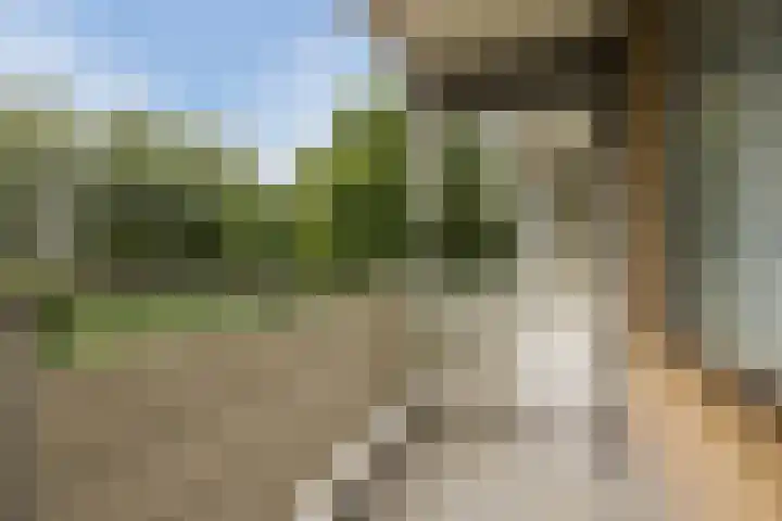 Zernikelaan 726 Papendrecht thumbnail 26