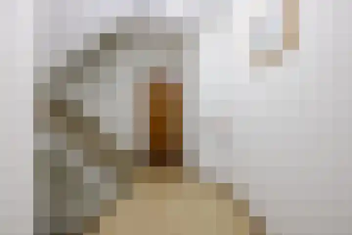 Zernikelaan 726 Papendrecht thumbnail 27