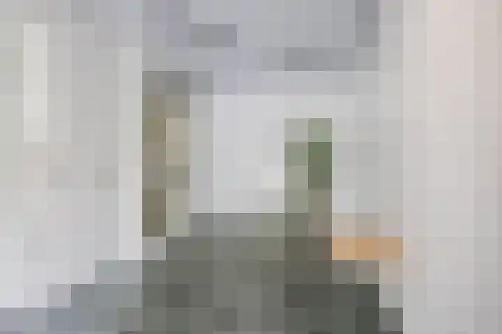 Zernikelaan 726 Papendrecht thumbnail 28