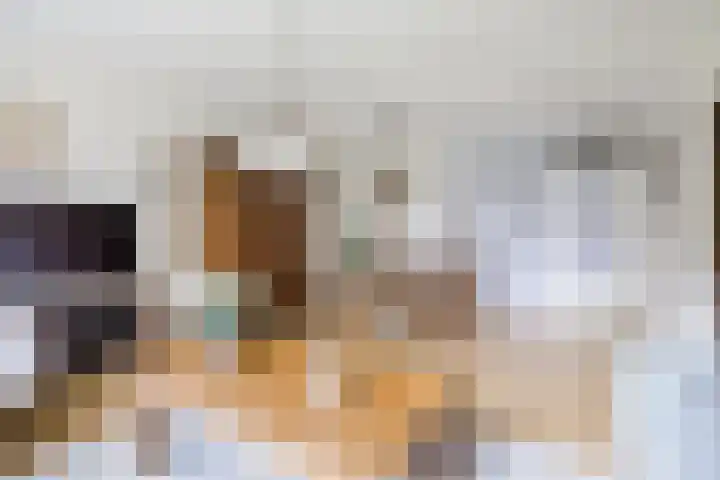 Zernikelaan 726 Papendrecht foto 3