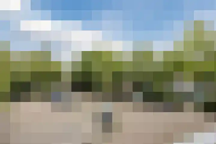 Zernikelaan 726 Papendrecht thumbnail 32