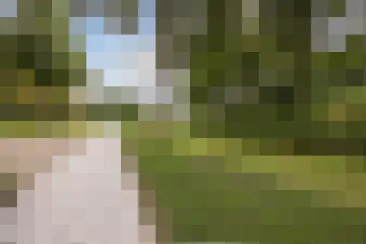 Zernikelaan 726 Papendrecht thumbnail 33