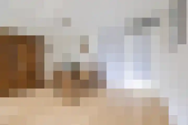 Zernikelaan 726 Papendrecht thumbnail 5