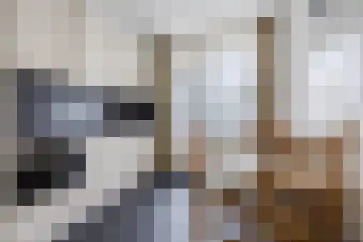 Zernikelaan 726 Papendrecht thumbnail 7