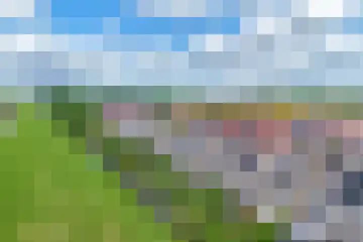 Zernikelaan 74 Schoonhoven thumbnail 31
