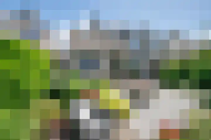 Zernikelaan 74 Schoonhoven thumbnail 33