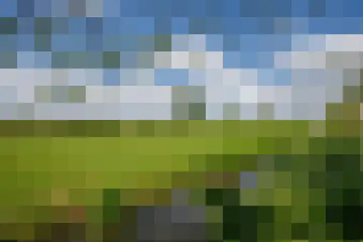 Zernikelaan 74 Schoonhoven thumbnail 39