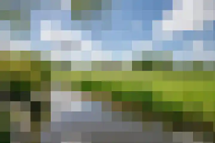 Zernikelaan 74 Schoonhoven thumbnail 4