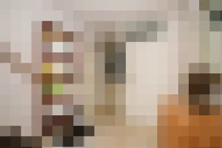 Zernikelaan 74 Schoonhoven thumbnail 7