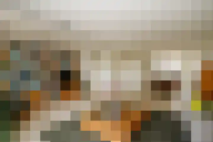 Zernikelaan 74 Schoonhoven thumbnail 9
