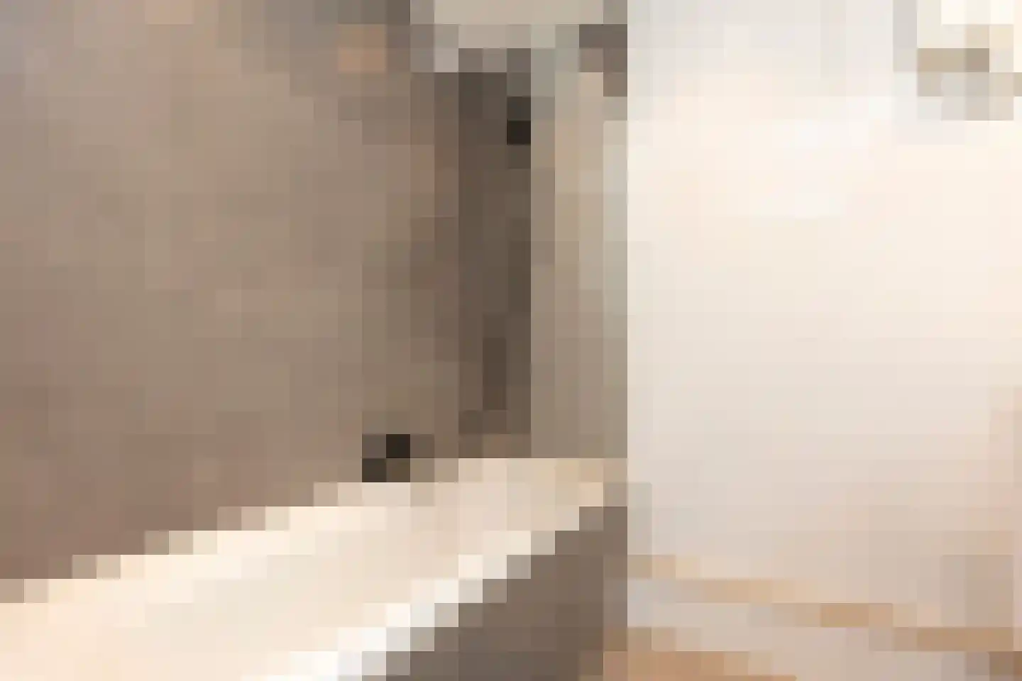 Zernikelaan 760 Papendrecht thumbnail 12