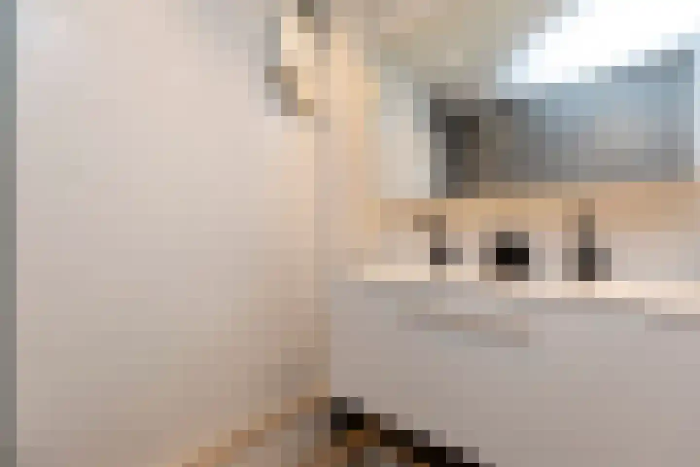Zernikelaan 760 Papendrecht thumbnail 13