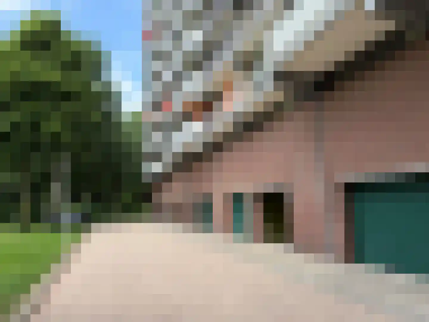 Zernikelaan 774 Papendrecht