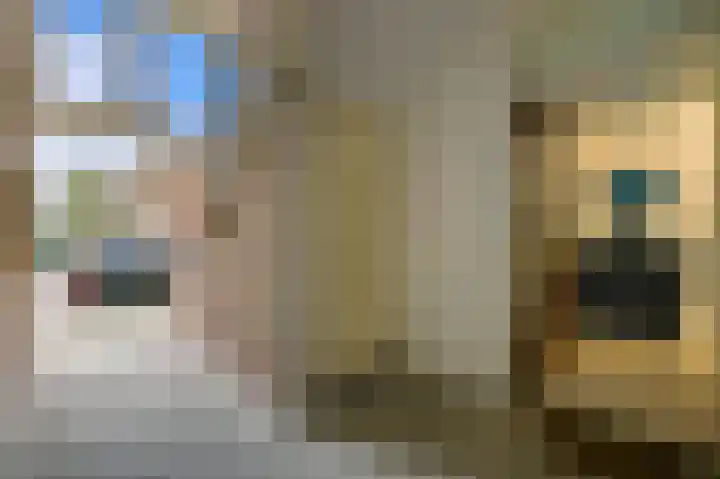 Zernikelaan 8 in Zwolle